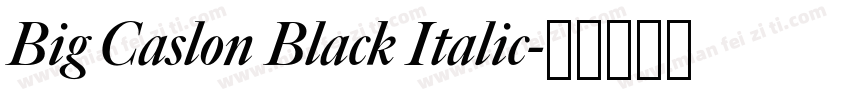 Big Caslon Black Italic字体转换